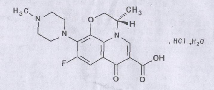 盐酸左氧氟沙星胶囊 盐酸左氧氟沙星胶囊