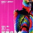 服装设计中的面料再造