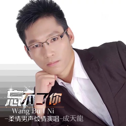 忘不了你(成天龙音乐专辑)