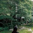 得未曾有(安妮宝贝改名庆山后首部作品)