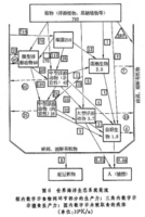 海洋生态 海洋生态