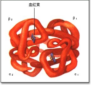 依替米星 依替米星