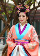 神医安道全(2014年余少群主演电视剧)