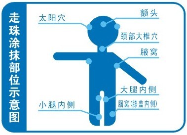 涂抹部位示意图 涂抹部位示意图