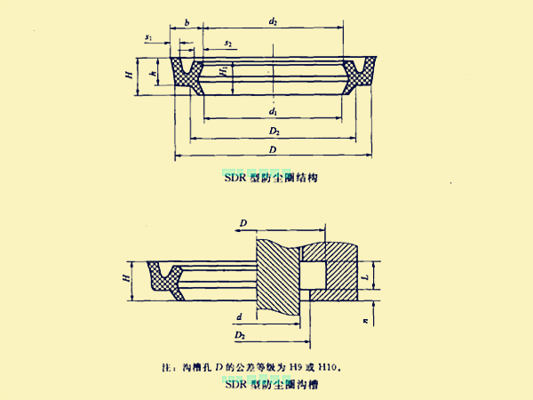 SDR型防尘圈的结构及沟槽 SDR型防尘圈的结构及沟槽