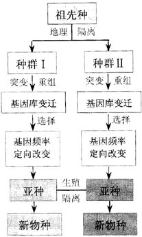 生殖隔离地理隔离 生殖隔离地理隔离