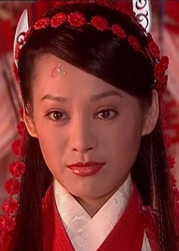杨门女将之女儿当自强(杨门女将大破天门阵)