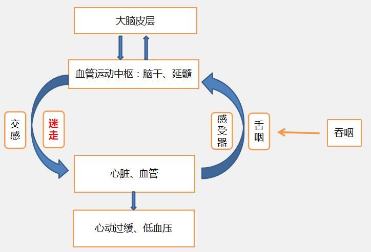 血管迷走神经性晕厥