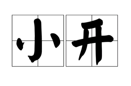 小开(上海方言)