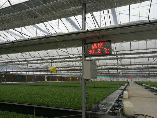 智慧型大棚 智慧型大棚