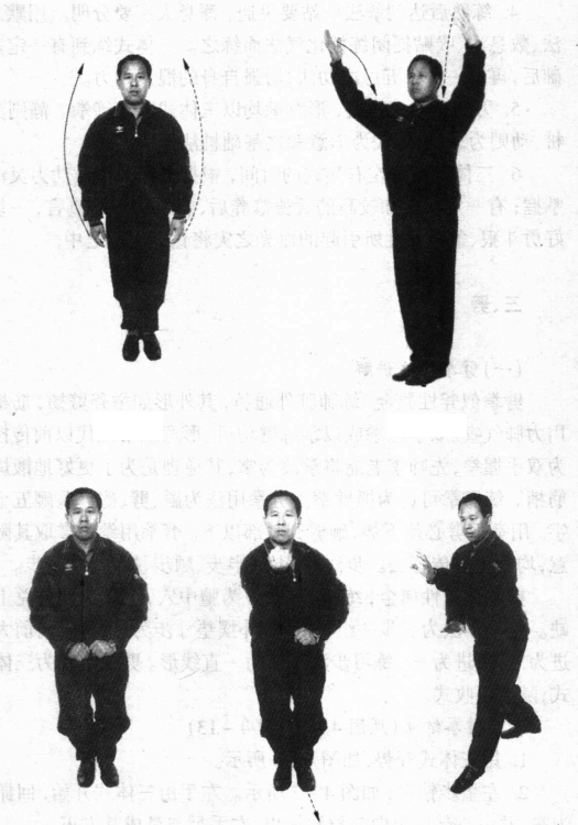 桩法三体式练法 桩法三体式练法
