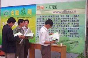 峨桥镇 峨桥镇