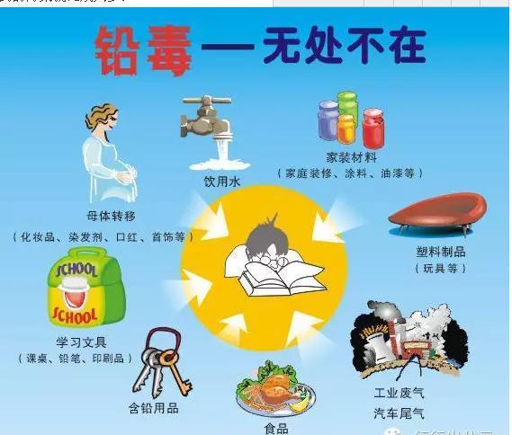 排铅食品 排铅食品