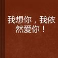 我想你，我依然爱你！