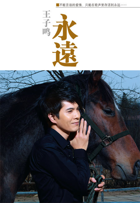 王子鸣(内地歌手) 王子鸣(内地歌手)