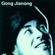 龚稼农
