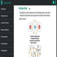 Biology and Human Body Anatomy