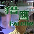 猎鹰(李添胜执导电影)