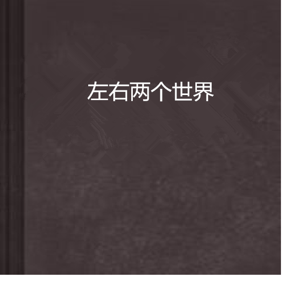 左右两个世界