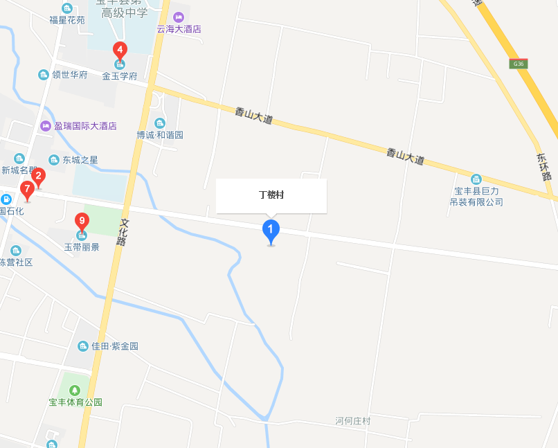 丁楼村(河南省宝丰县周庄镇下辖村)