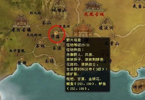 花斑豹