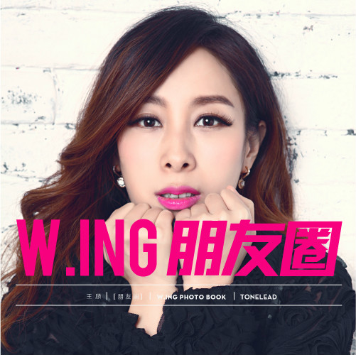 朋友圈(王麟演唱的歌曲)