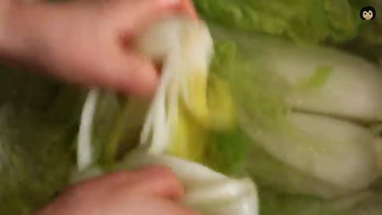 正宗韩国泡菜