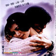 新不了情(2002年刘汉强主演电视剧)