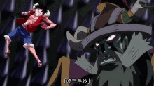 莫莫果实 莫莫果实