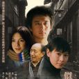 似水年华(黄磊自导自演电视剧)
