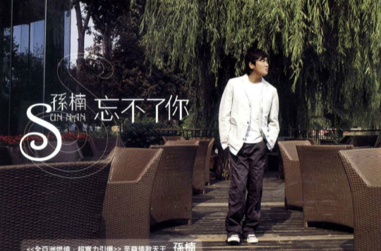 忘不了你(孙楠歌曲)