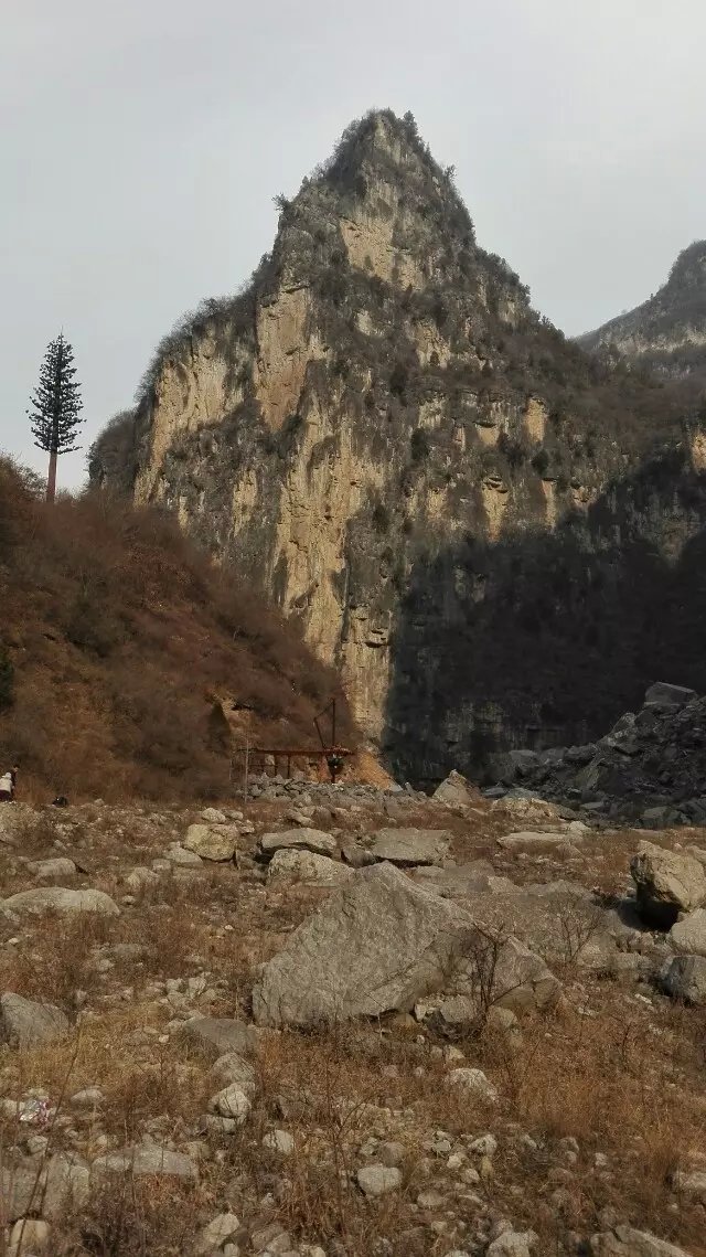 红豆杉大峡谷 红豆杉大峡谷