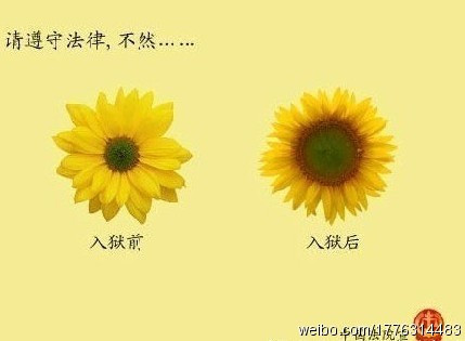 内涵图 内涵图