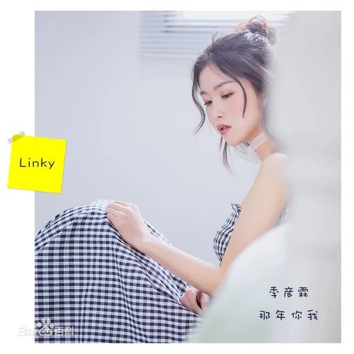 那年你我(季彦霖演唱的歌曲)