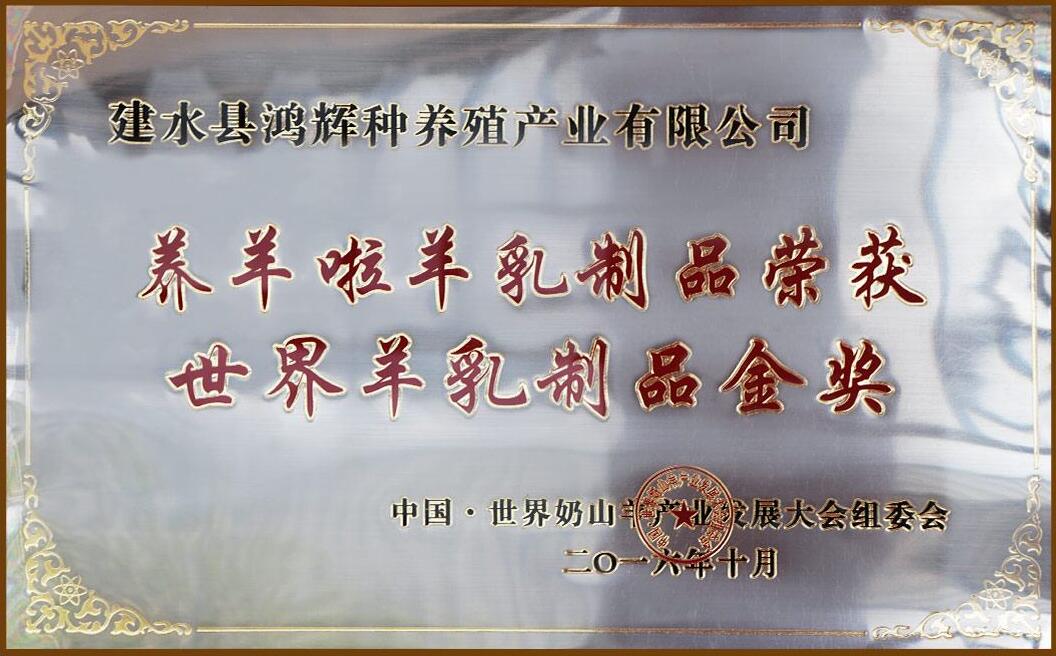 养羊啦 养羊啦