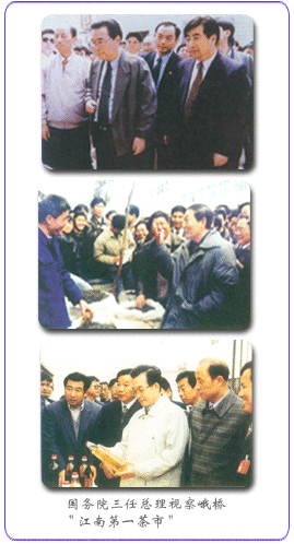 国家领导相继视察峨桥 国家领导相继视察峨桥