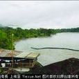 Nabau