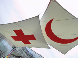 国际红十字和红新月运动 国际红十字和红新月运动