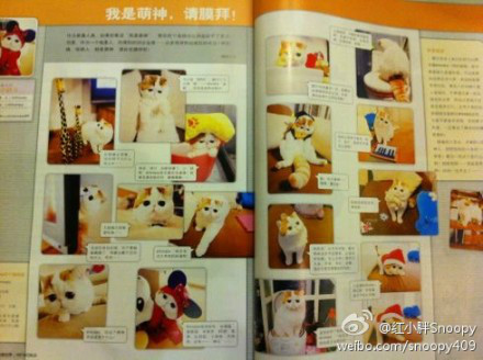 小胖登上杂誌 小胖登上杂誌