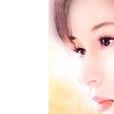 清离——泪痕紫禁之巅