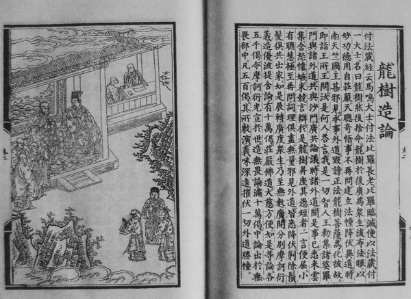 龙树造论 龙树造论