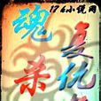 魂杀1复仇者