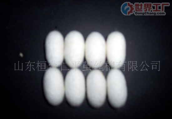 蚕茧药用 蚕茧药用