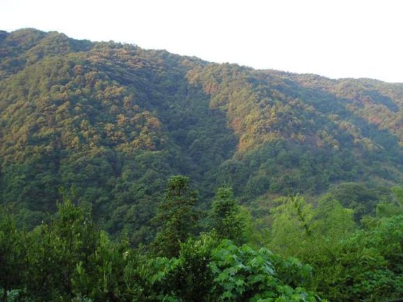 德化石牛山国家森林公园