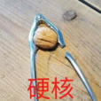 硬核(网路流行词)