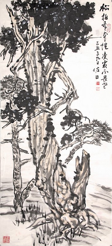 亢佐田 亢佐田