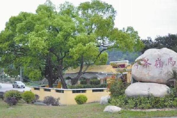 下马岭茶亭