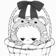 鹿岛虎太郎