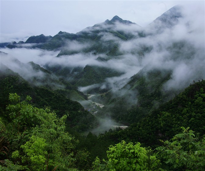 茶园自然村鸟瞰乌溪江 茶园自然村鸟瞰乌溪江