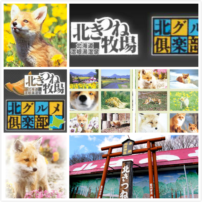 日本北见狐狸村